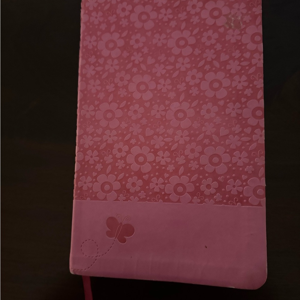 Pink Kids Adventure Bible